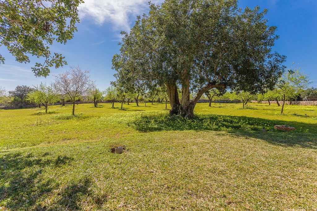 Finca Sa Foradada Cala D´Or 外观 照片